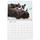 Calendrier Français Bulldog Avec Vos Photos (Feb 2026)
