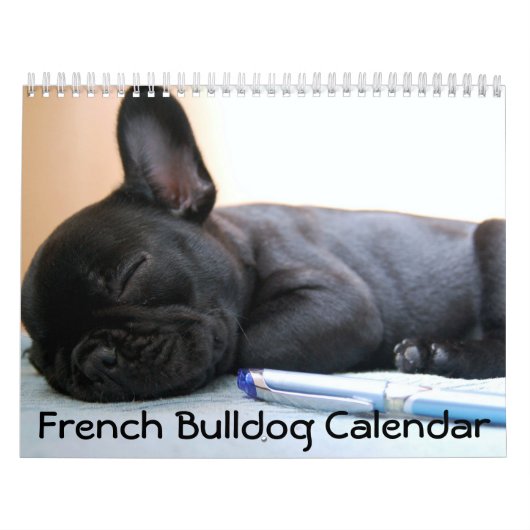Calendrier Français des photos de Bulldog 2026 (Protection)