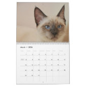 Calendrier Français et USA Cute Beautiful Cats (Mar 2026)