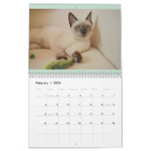 Calendrier Français et USA Cute Beautiful Cats (Feb 2026)