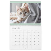 Calendrier Français et USA Cute Beautiful Cats (Jan 2026)