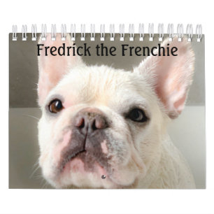 Calendrier French Bulldog Calendar-Fredrick la Cale français