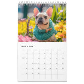 Calendrier Frenchie Knit Seasons - 2026 Cozy Dog Calendar (Mar 2026)