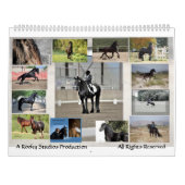 Calendrier frison 2013 de cheval colossal (Dos)
