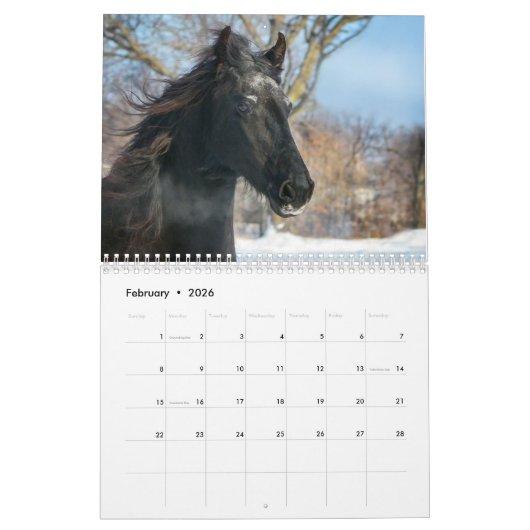 Calendrier frison de cheval (Feb 2026)