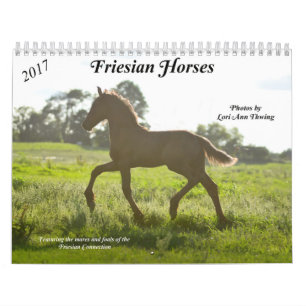 Calendrier frison de cheval
