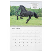 Calendrier frison de cheval avec des vers de bible (Mar 2027)