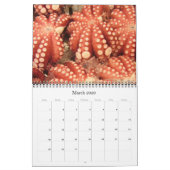 Calendrier fruits de mer 2025 (Mar 2026)