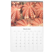 Calendrier fruits de mer 2026 (Mar 2026)