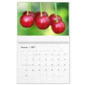 Calendrier Fruits de saison de cerise et de baies (Feb 2027)