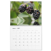 Calendrier Fruits de saison de cerise et de baies (Mar 2027)