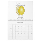 Calendrier Fruits de santé (bouts sains inclus) (Mar 2026)