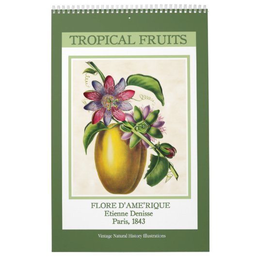 Calendrier Fruits vintages botaniques tropicaux 2026 (Protection)