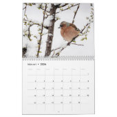 Calendrier Fulger på Reigstad - Kalender 2021 (Feb 2026)