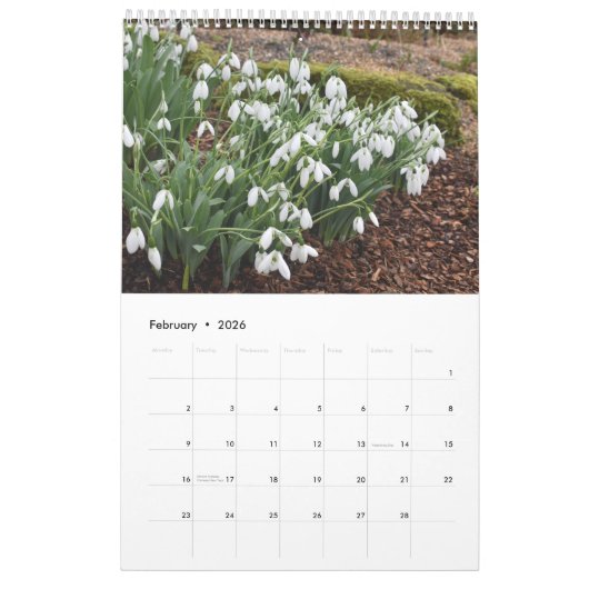 Calendrier Full Bloom 2025 Calendar one-page medium (Feb 2026)