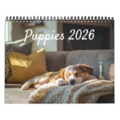 Calendrier Fully Customizable 2026 Puppies Wall Calendar (Protection)