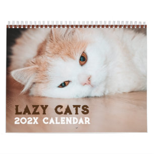 Calendrier Funny Lazy Cats 2026