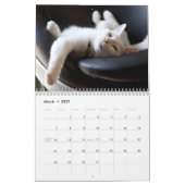 Calendrier Funny Lazy Cats 2026 (Mar 2027)