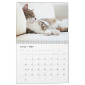 Calendrier Funny Lazy Cats 2026 (Jan 2027)