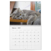 Calendrier Funny Lazy Cats 2026 (Feb 2027)