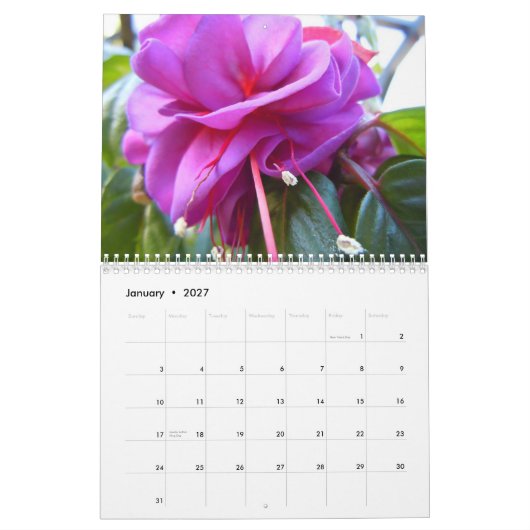Calendrier Fuschias (Jan 2027)