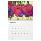 Calendrier Fuschias 2015 II (Jan 2027)
