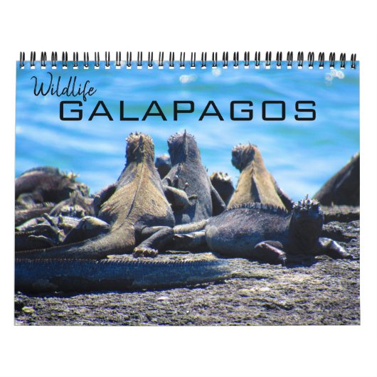 Calendrier galapagos animaux 2025 (Protection)