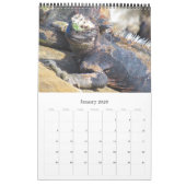 Calendrier galapagos sauvages 2025 (Jan 2026)