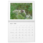 Calendrier - Galore des araignées (Mar 2027)