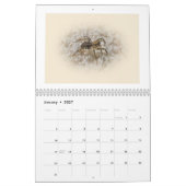 Calendrier - Galore des araignées (Jan 2027)