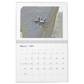 Calendrier - Galore des araignées (Feb 2027)