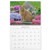 Calendrier Garden Cats - grande taille (Mar 2026)