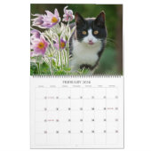 Calendrier Garden Cats - grande taille (Feb 2026)