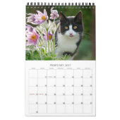 Calendrier Garden Cats - petite taille (Feb 2027)