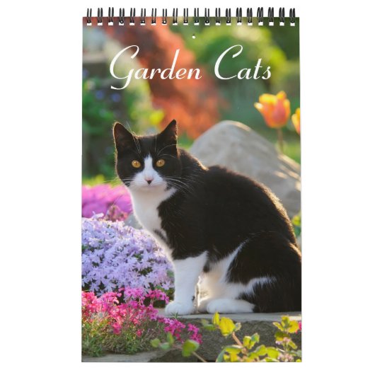 Calendrier Garden Cats - petite taille (Protection)