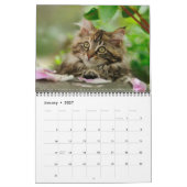 Calendrier Garden Cats - taille moyenne (Jan 2027)