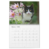 Calendrier Garden Cats - taille moyenne (Feb 2026)