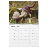Calendrier Garden Gnomes 2026 (Feb 2026)