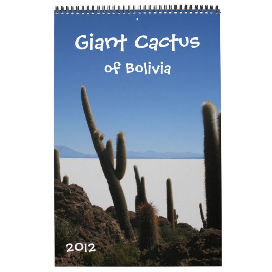 calendrier géant 2012 de cactus (Protection)