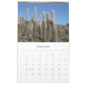 calendrier géant 2012 de cactus (Jan 2026)