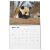 Calendrier géant d'ours panda, ours panda géants (Mar 2026)