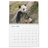 Calendrier géant d'ours panda, ours panda géants (Jan 2026)