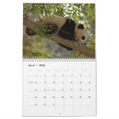 Calendrier géant d'ours panda, ours panda géants (Mar 2026)