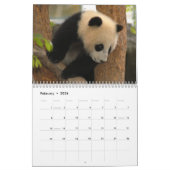 Calendrier géant d'ours panda, ours panda géants (Feb 2026)