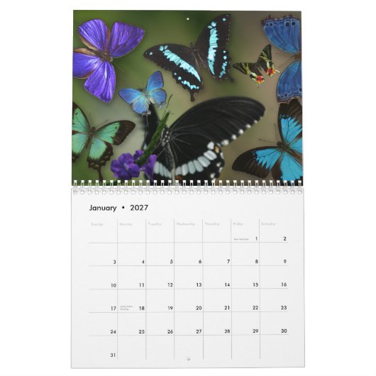 Calendrier Gemmes de l'air (Jan 2027)
