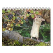 Calendrier George la souris avec des framboles (Protection)