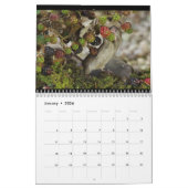 Calendrier George la souris avec des framboles (Jan 2026)