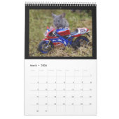 Calendrier George the mouse in a log pile House calendar (Mar 2026)