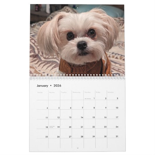 Calendrier Gilbert 2025 (Jan 2026)