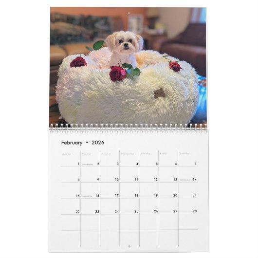 Calendrier Gilbert 2025 (Feb 2026)